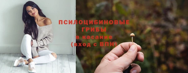 тгк Магас