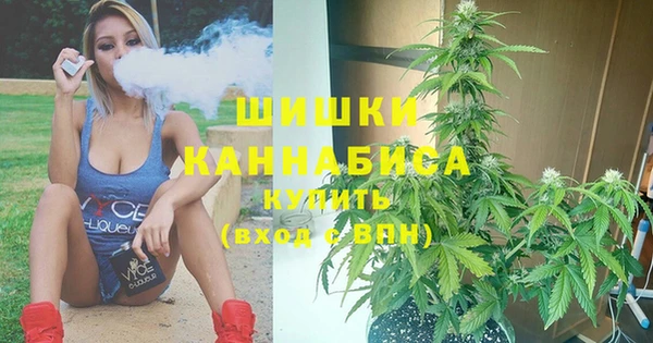 тгк Магас