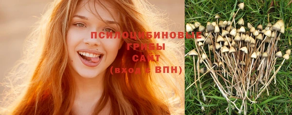 бошки Медвежьегорск