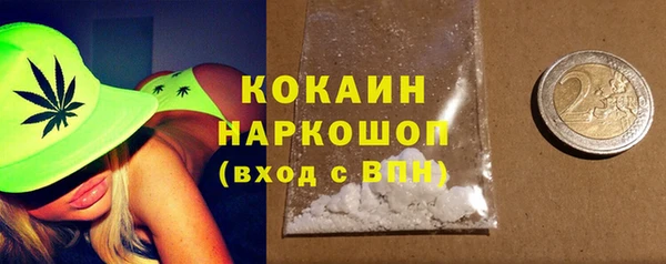 дживик Майский