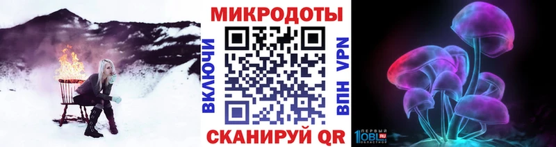 Псилоцибиновые грибы Psilocybe  Усть-Кут 