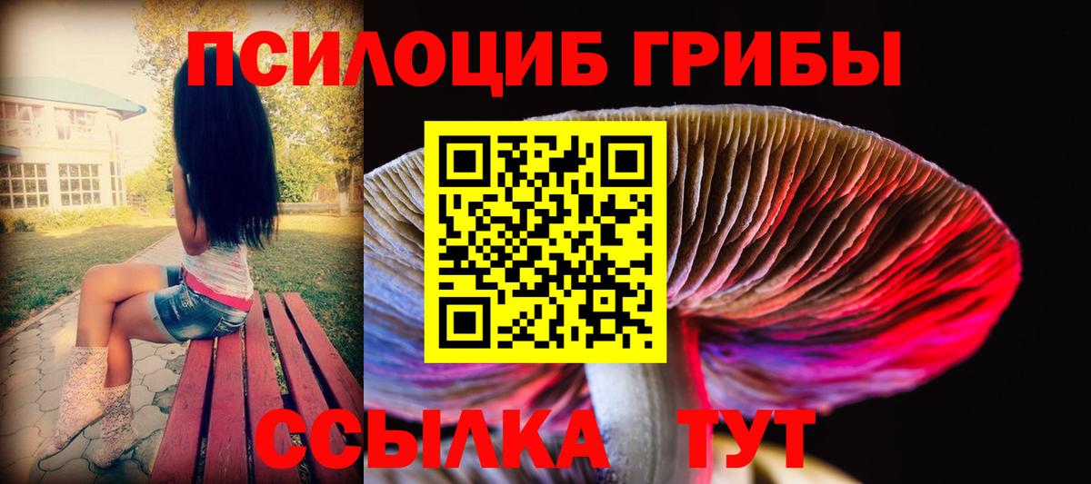 Галлюциногенные грибы мицелий Усть-Кут