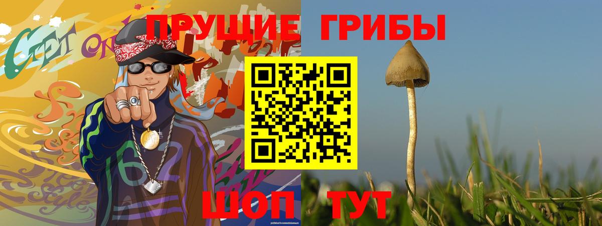 Галлюциногенные грибы прущие грибы  Усть-Кут 