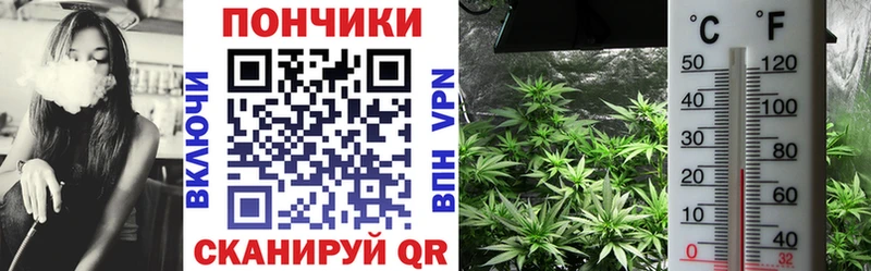 Каннабис семена  хочу наркоту  Усть-Кут 